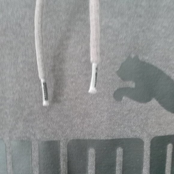 Puma Hoodie, Charcoal with Shadow Logo - Picture 4 of 5